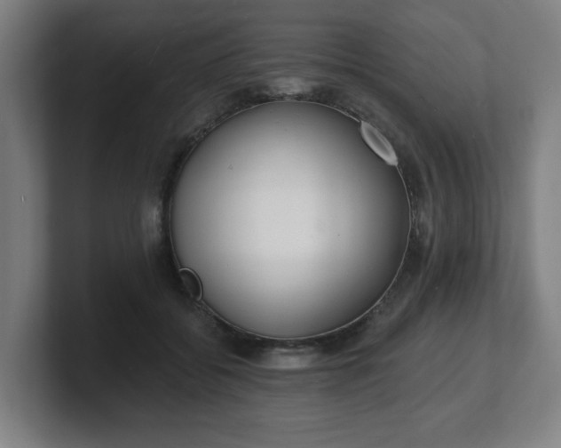 X0000101700556200807171517