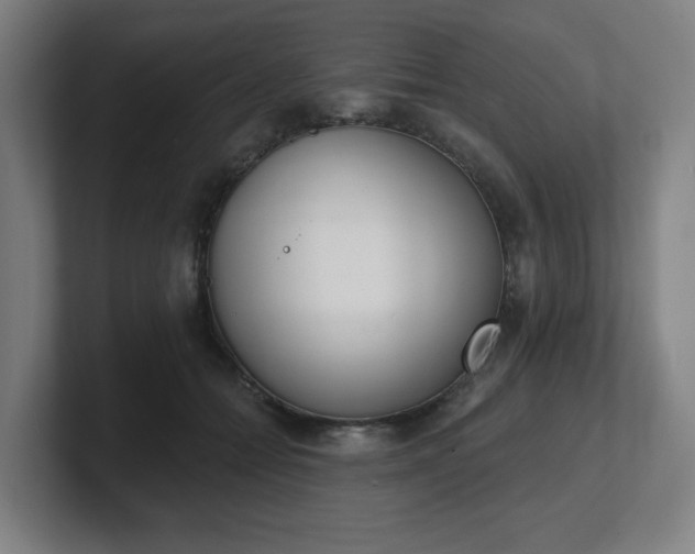 X0000101700558200807171517