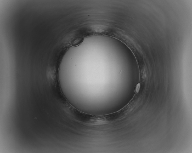 X0000101700559200807171517