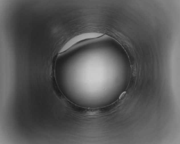 X0000101700560200807171517