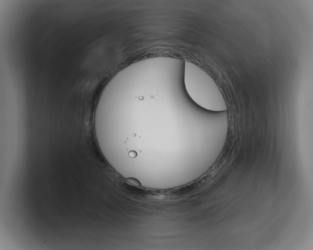 X0000101700561200807171517