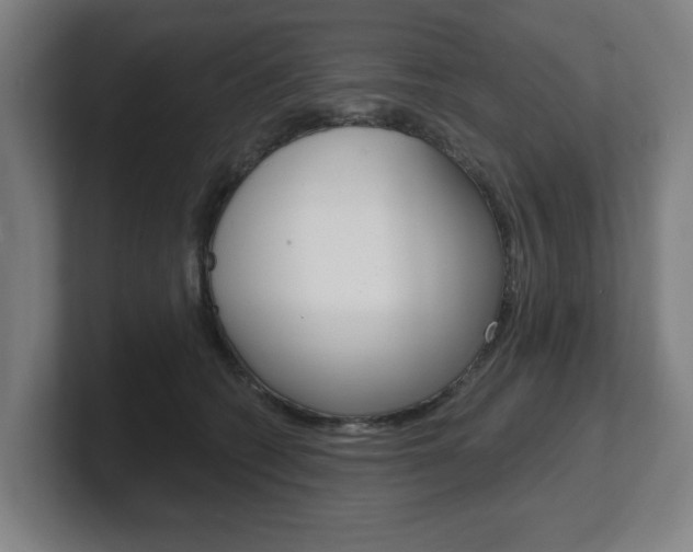 X0000101700562200807171517