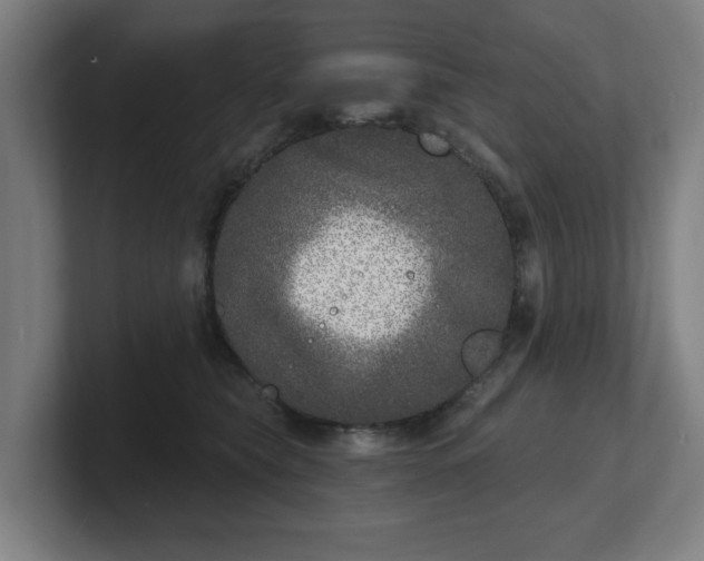 X0000101700565200807171517