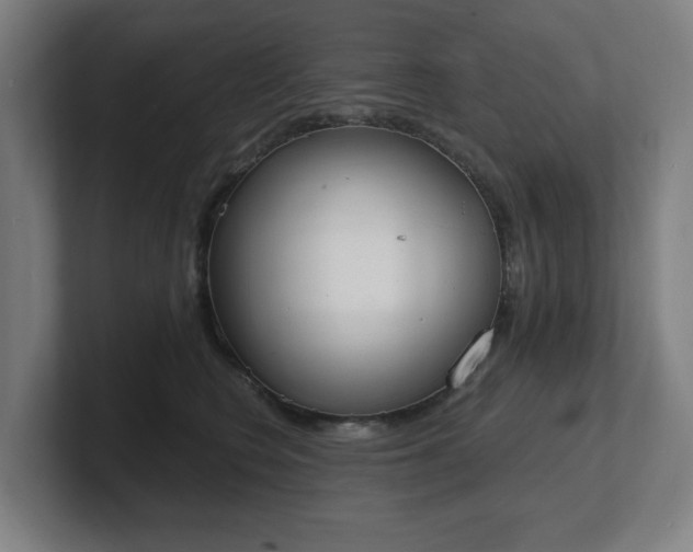 X0000101700566200807171517