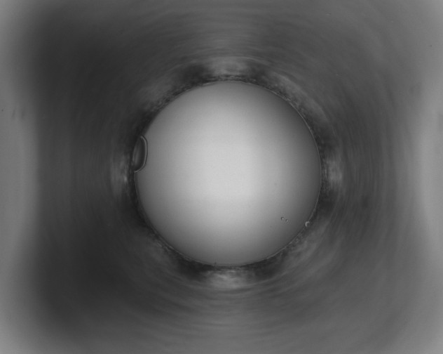 X0000101700567200807171517