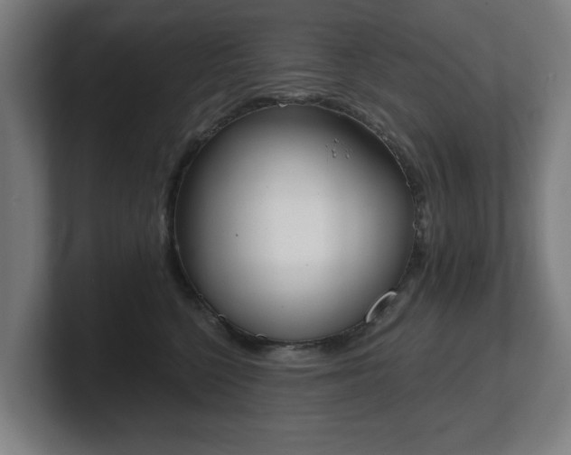 X0000101700568200807171517