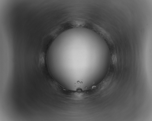 X0000101700570200807171517