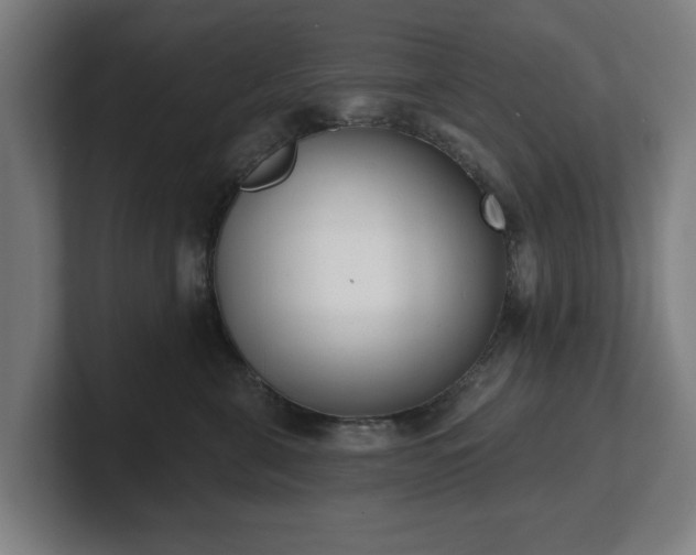 X0000101700571200807171517