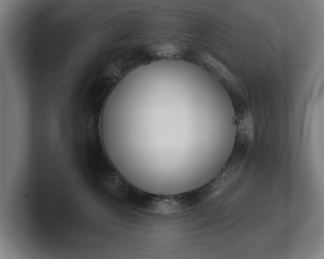 X0000101700572200807171517