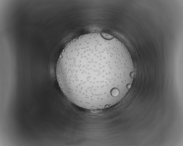 X0000101700573200807171517