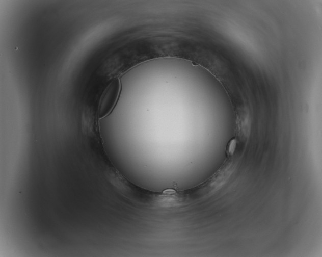 X0000101700574200807171517