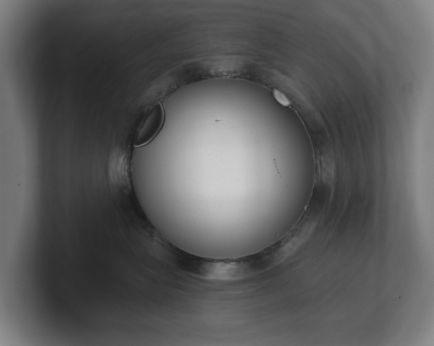 X0000101700575200807171517