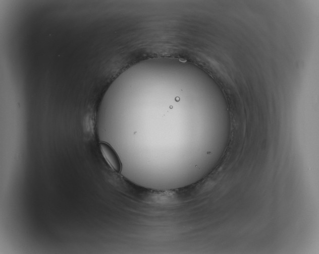 X0000101700576200807171517