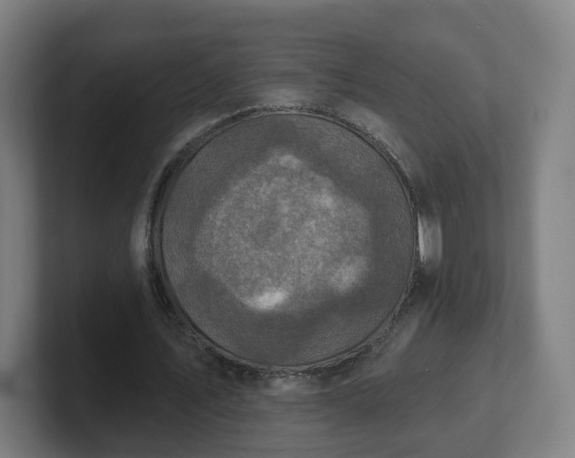 X0000101700579200807171516