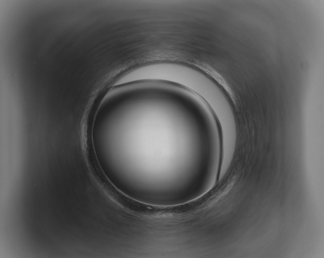 X0000101700581200807171516