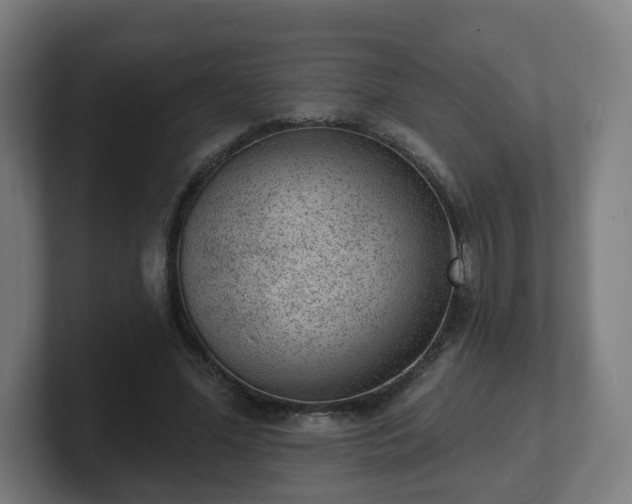 X0000101700588200807171516