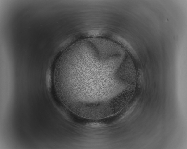 X0000101700590200807171516