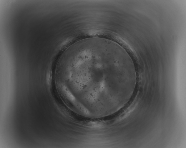 X0000101700592200807171516