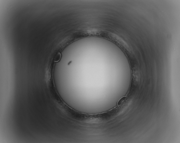 X0000101700593200807171516