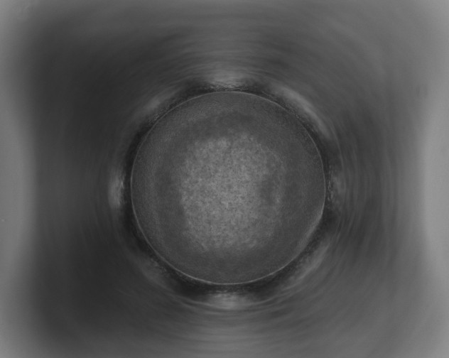 X0000101700596200807171516