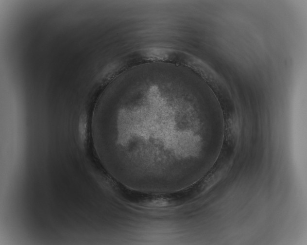 X0000101700600200807171516