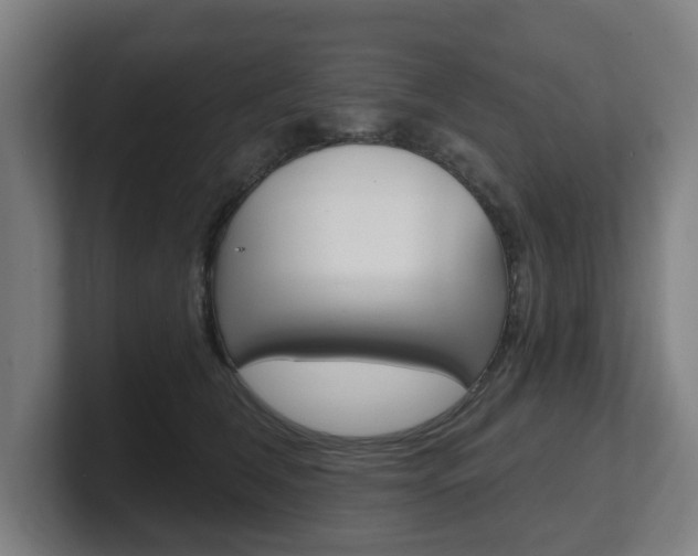 X0000101700612200807171516