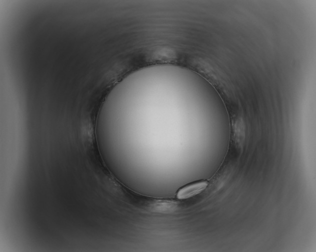 X0000101700617200807171516