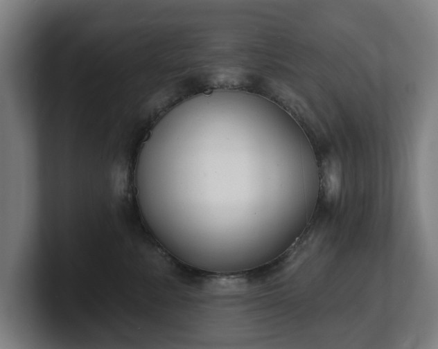 X0000101700619200807171516