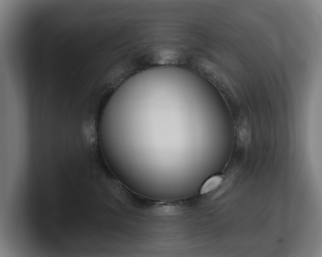 X0000101700620200807171516