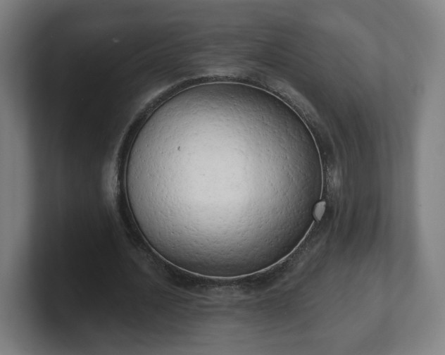 X0000101700628200807171515