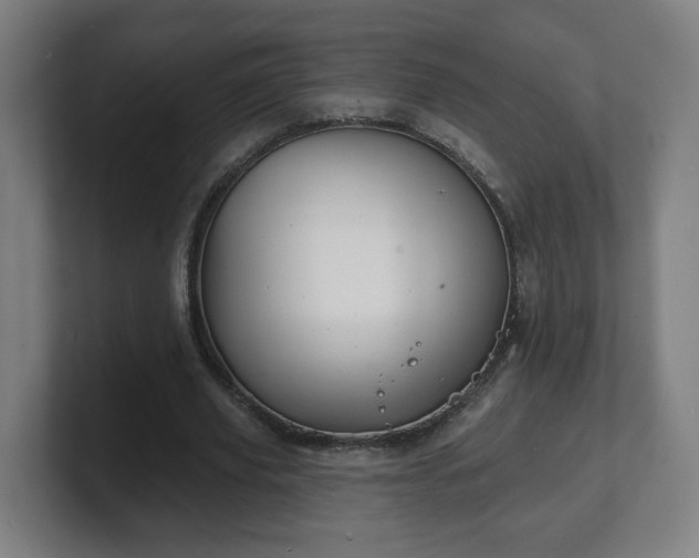 X0000101700629200807171515