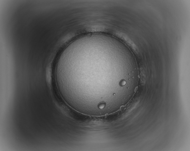 X0000101700631200807171515