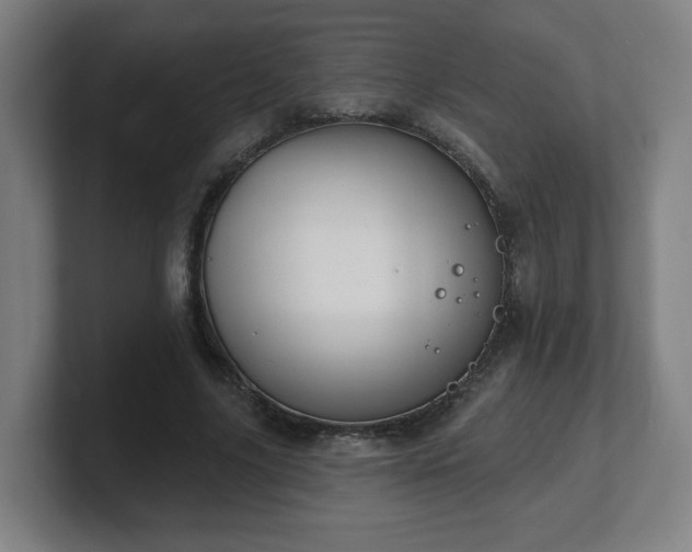 X0000101700635200807171515