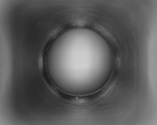 X0000101700638200807171515