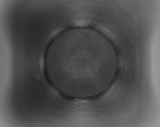 X0000101700640200807171515