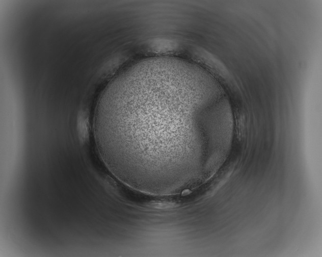 X0000101700644200807171515