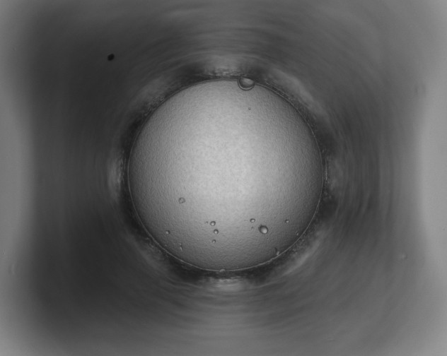 X0000101700645200807171515