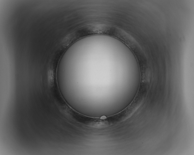 X0000101700646200807171515