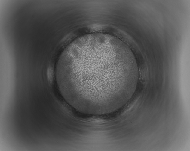 X0000101700648200807171515