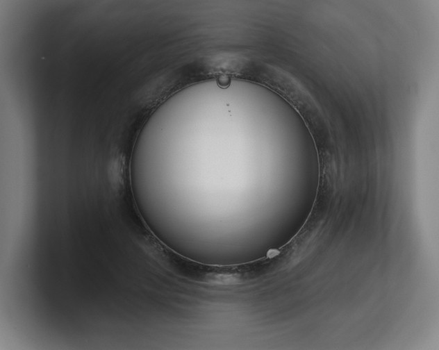 X0000101700649200807171515