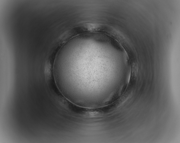 X0000101700650200807171515