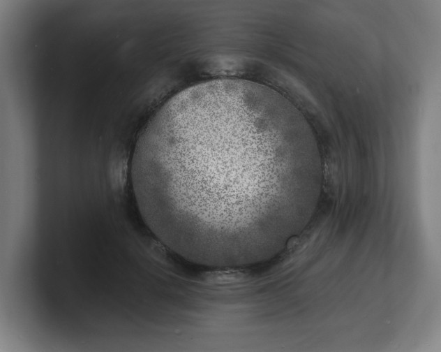 X0000101700652200807171515