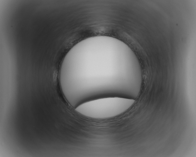 X0000101700660200807171516