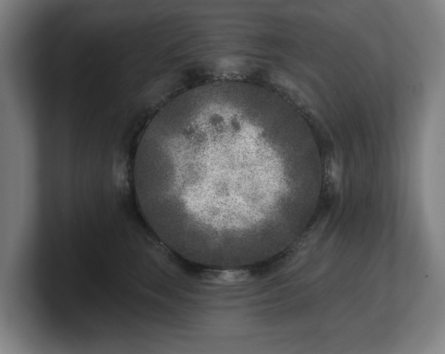 X0000101700663200807171516