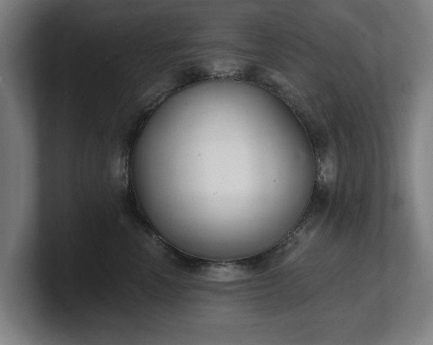 X0000101700666200807171516