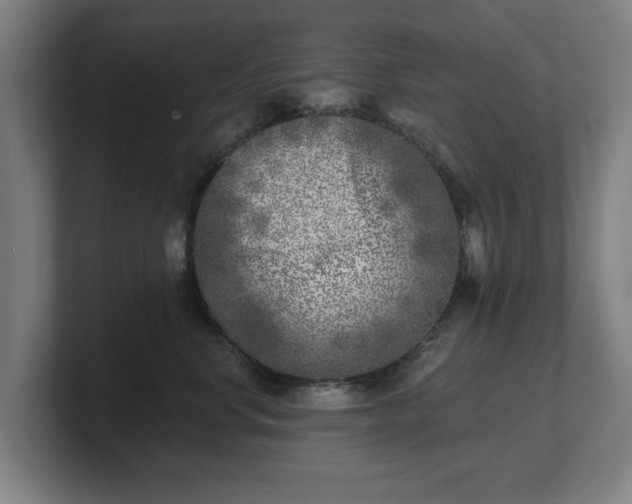 X0000101700668200807171516