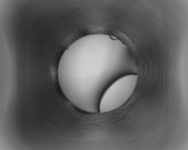 X0000101700669200807171516