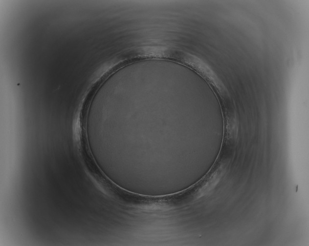 X0000101700674200807171515