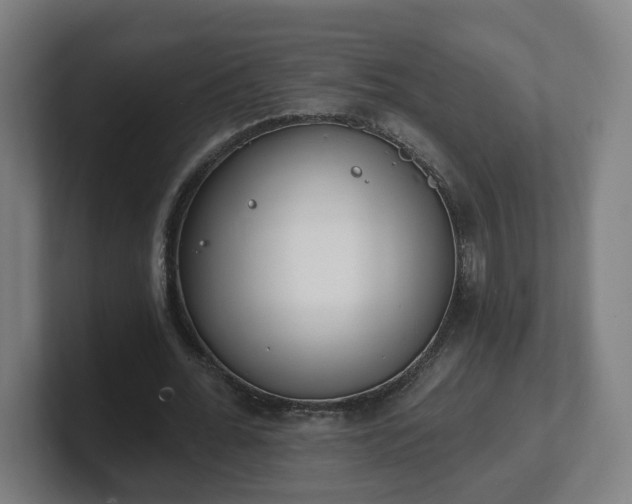 X0000101700676200807171515