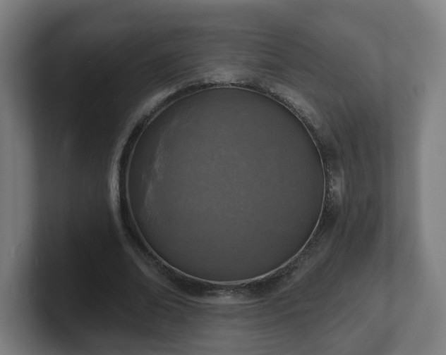 X0000101700678200807171515